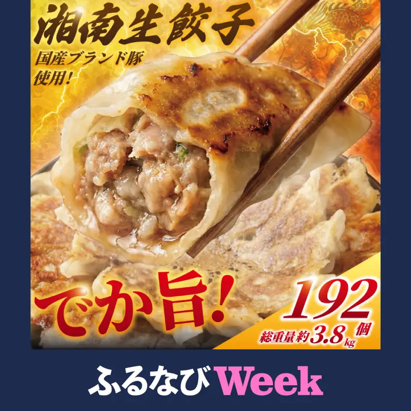 【ふるなびWEEK対象】 湘南生餃子 192個 約3.8kg 餃子 ぎょうざ