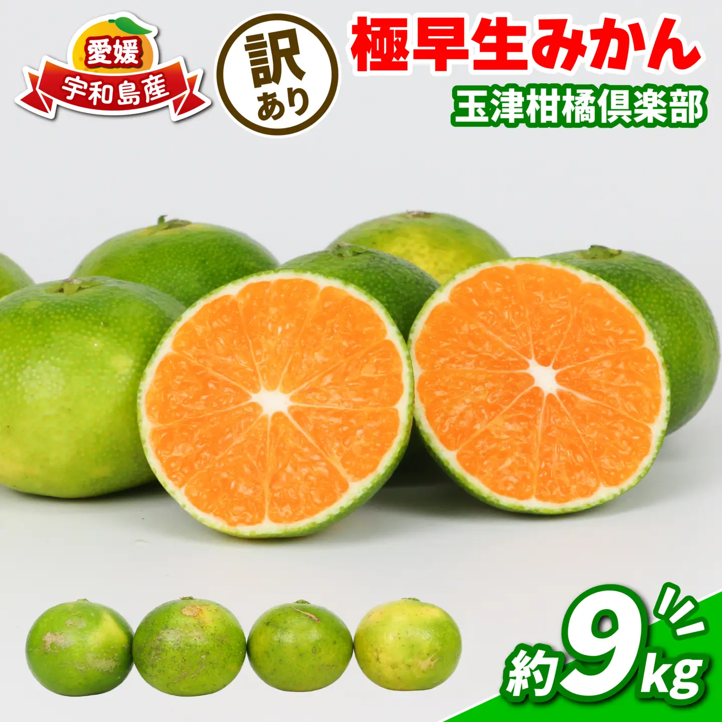 【ご家庭用】訳あり極早生みかん9kg玉津柑橘倶楽部|みかん(B010-072029)