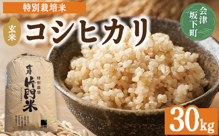 3-D コシヒカリ 玄米 会津 30kg 令和7年産 藤川農産