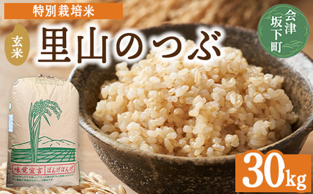 3-J 里山のつぶ玄米30kg 令和7年産 特別栽培米 ※2025年9月下旬頃より順次発送予定