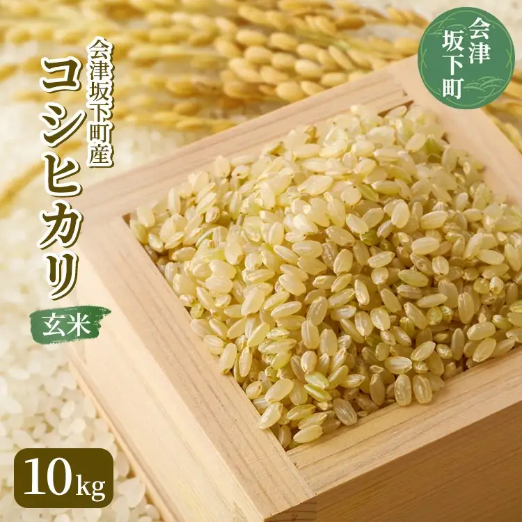 21-K 会津坂下町産 コシヒカリ10kg（令和7年産米）（玄米）