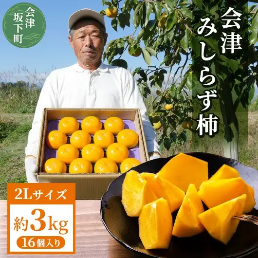 23-D 柿 会津みしらず柿 2Lサイズ 16個入り 約3kg ※2026年11月～発送