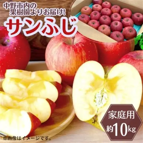 ◆2027年1月中発送◆りんご サンふじ家庭用 約10kg(24～42玉)【1515113】