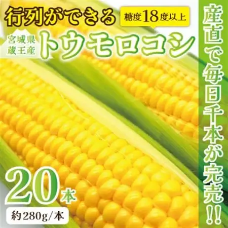 【蔵王の産直で毎日1000本完売】生でも甘い♪行列ができるトウモロコシ『夢みらい』20本_野菜 とうもろこし  トウモロコシ_【配送不可地域：離島】【1500620】