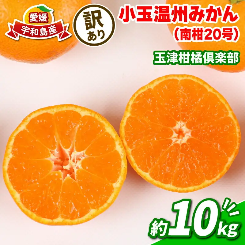 蜜柑 訳あり 小玉 温州みかん 南柑20号 10kg 玉津柑橘倶楽部 温州 みかん 小玉みかん 中生 甘い 果物 くだもの フルーツ 柑橘 mikan 愛媛蜜柑 愛媛みかん 愛媛ミカン ミカン わけあり サイズ 不揃い 産地直送 数量限定 国産 愛媛 宇和島 B010-072031