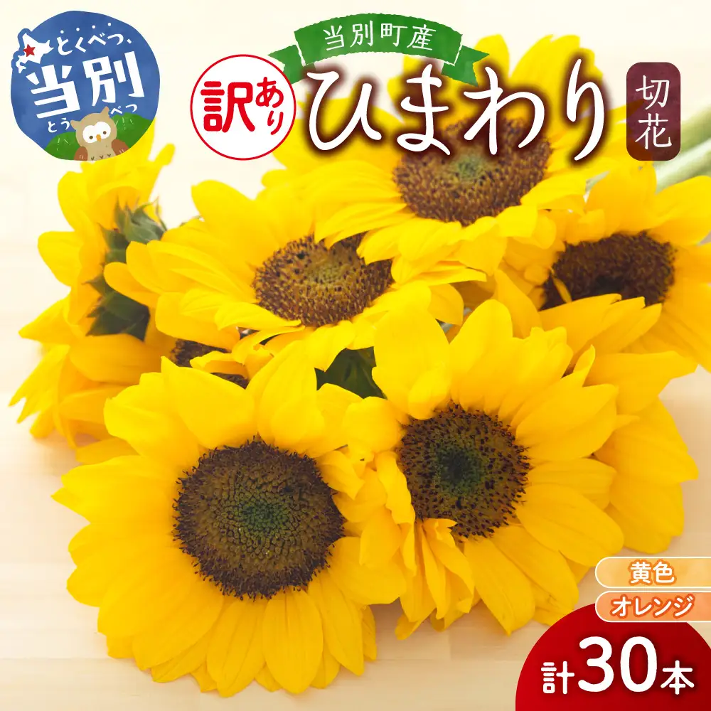 【訳あり】ひまわり 切花 30本 黄色 オレンジ 四季農場《6月上旬-9月下頃出荷》