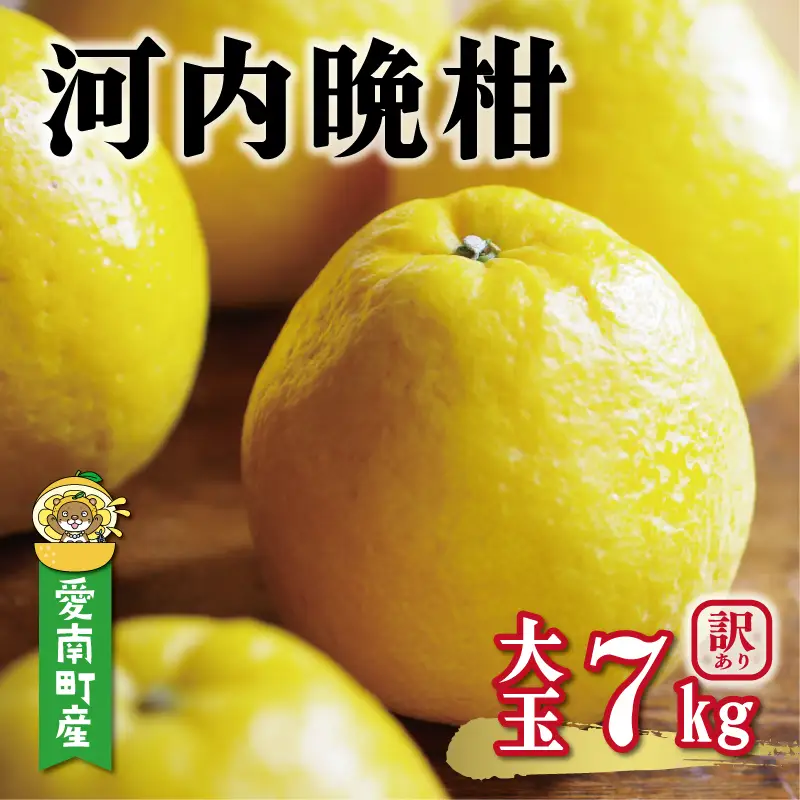 先行予約 訳あり 河内晩柑 大玉 7kg +傷み保証1kg 8000円 愛南町 愛媛県 塚岡農園