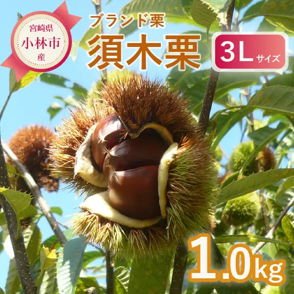 栗 「須木栗」3Lサイズ 1kg程度 栗