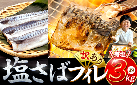 訳あり 塩サバ 約3kg 冷凍 鯖 塩 さば 魚 さかな 海鮮 海産物 おかず ご飯 おすすめ 人気 愛知県 南知多町 【配送不可地域：北海道･沖縄県･離島】