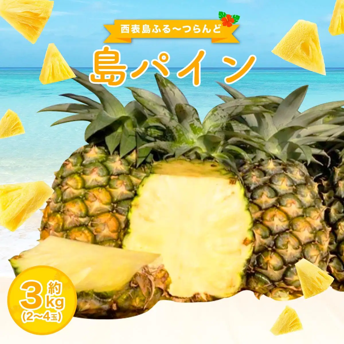 【2027年先行予約】島パイン (ハワイ種) 約3kg