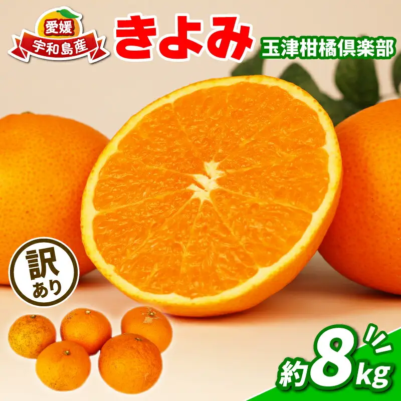 訳あり きよみ 8kg 玉津柑橘倶楽部 きよみ B010-072033