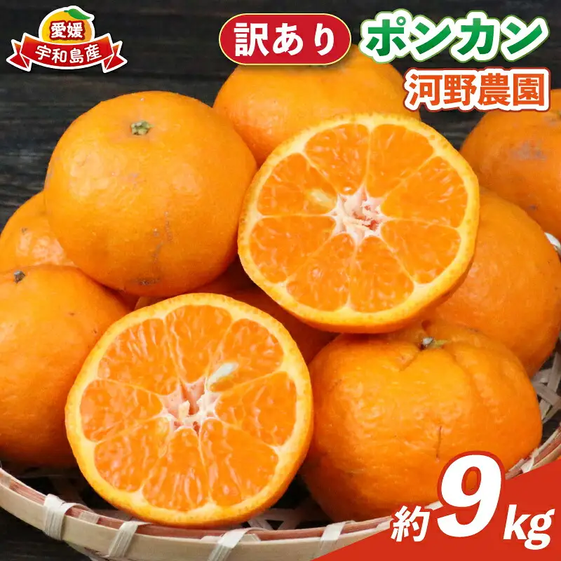 訳ありﾎﾟﾝｶﾝ 9kg 河野農園 みかんﾎﾟﾝｶﾝﾎﾟﾝｶﾝﾎﾟﾝｶﾝﾎﾟﾝｶﾝﾎﾟﾝｶﾝ B010-147005