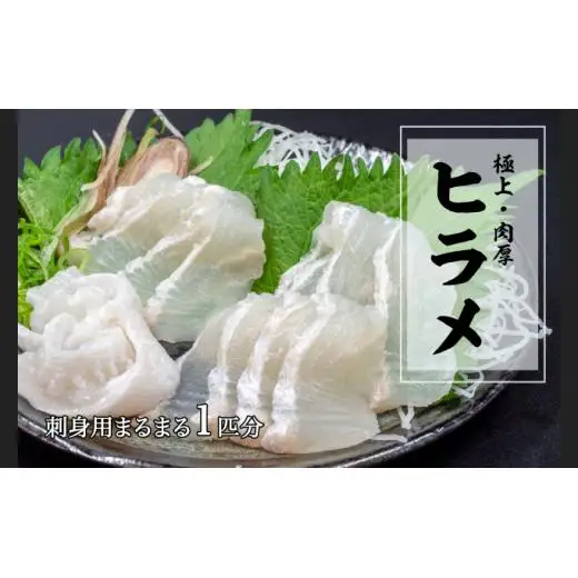 極上 ヒラメ 2枚 【 800g ～ 1.2kg 】  KS0081