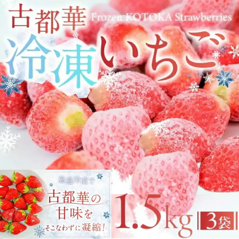 厳選冷凍いちご 1.5kg 冷凍 いちご 数量限定 10-025