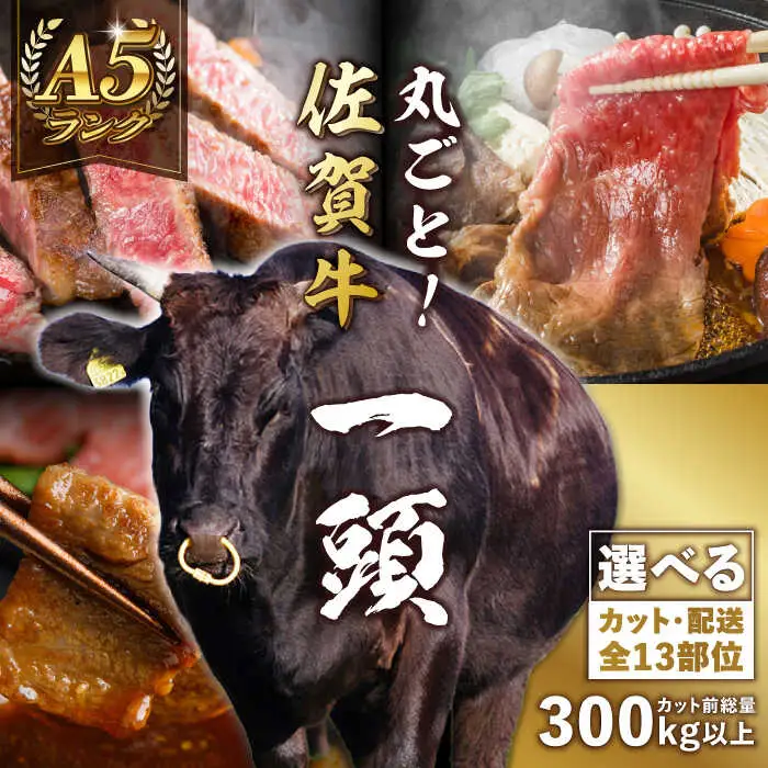 【一頭丸ごとオーダー！】 A5 佐賀牛 一頭食べ尽くしセット 黒毛和牛 オーダーカット 吉野ヶ里町/株式会社MEAT PLUS[FDB066]
