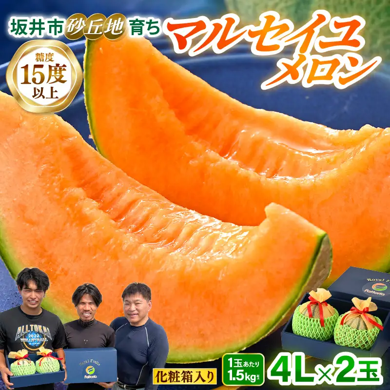 マルセイユメロン 4L 2玉 化粧箱入り 2027年6月中旬以降順次発送 メロン フルーツ 赤肉 贈答 ギフト [A-19111]