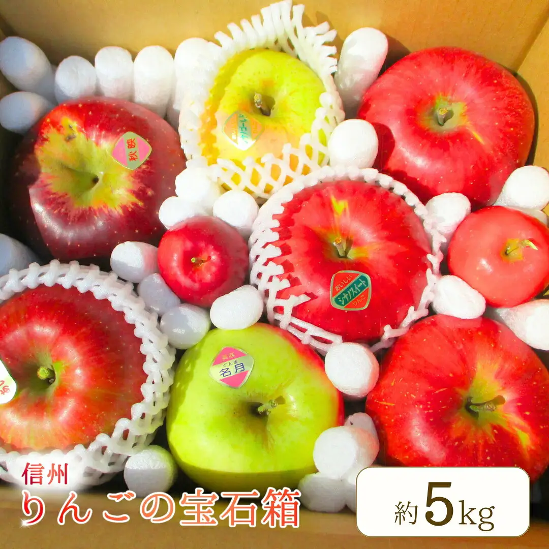 【2026年先行予約】りんご 園主におまかせ 詰合せ 計約5kg（10~18玉）りんご の宝石箱 