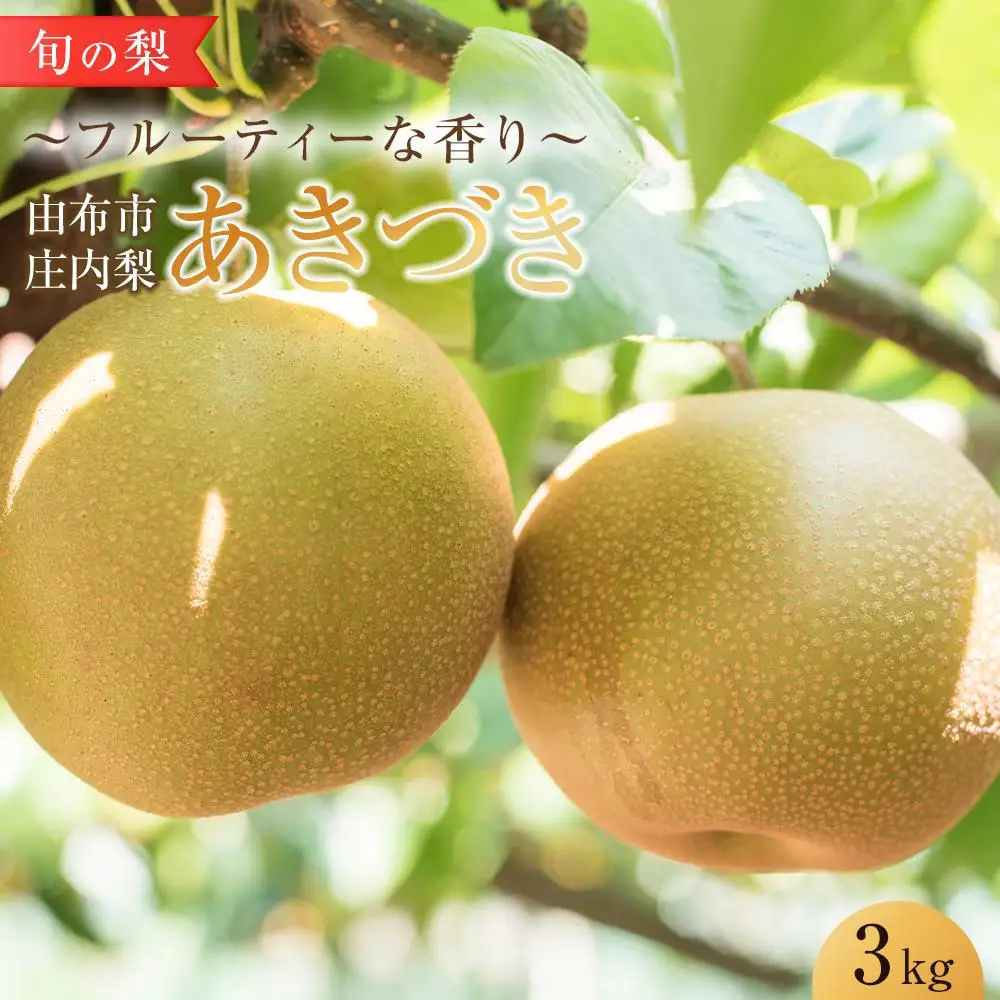旬の梨 あきづき 3kg 庄内梨 大塚梨園＜2026年9月上旬以降発送＞