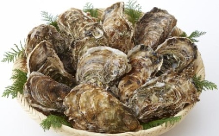 産地直送！ 加熱用 【訳あり】 不揃いの殻付き牡蠣 ５㎏ （ 冷凍 ）【 訳あり 国産 三陸産 天然 牡蠣 かき 殻付き 人気 グラタン 海鮮 お刺身 魚介 魚介類 BBQ バーベキュー フライ 】 岩手 陸前高田市RT1008