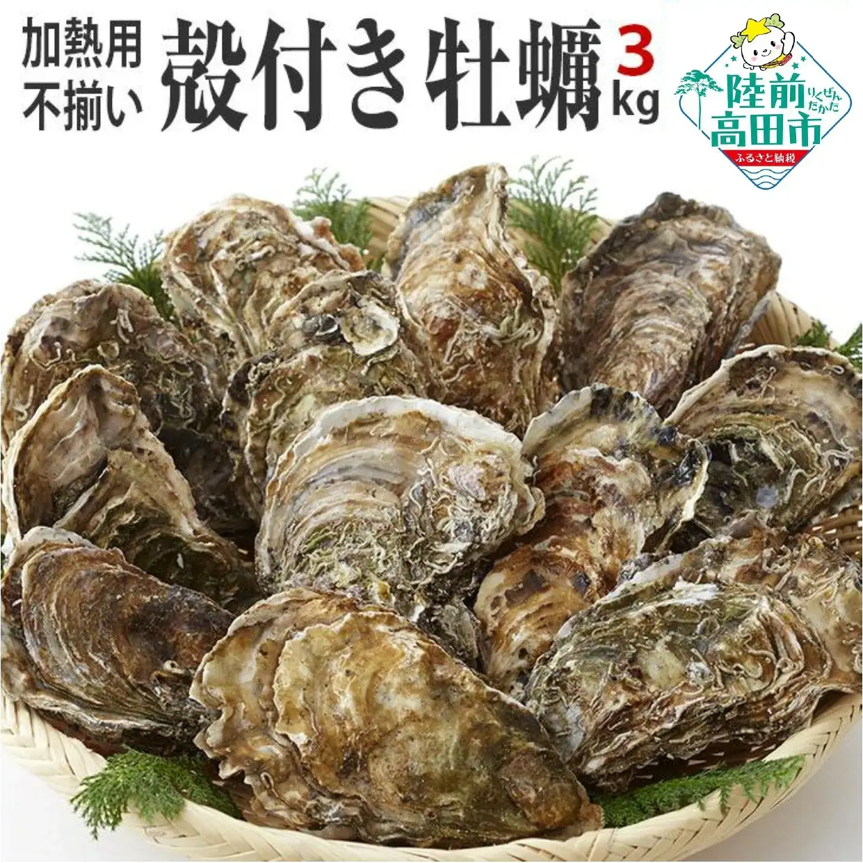 牡蠣 訳あり 加熱用 殻付き牡蠣３kg 冷凍