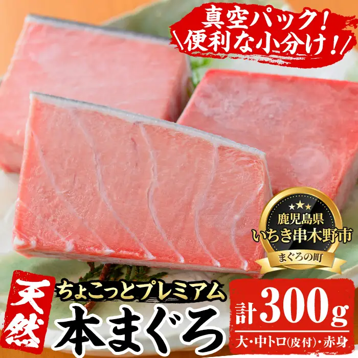 まぐろ♪ 本まぐろ 300g （大トロ＆中トロ＆赤身）天然 【00-041-10-FN】