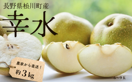梨 幸水 贈答 約3kg（6～9玉） 長野県松川町産［KW09］／2026年8月下旬頃～順次発送予定//長野県 南信州 松川町 和梨 梨 なし ナシ 約3kg 豊水 産地直送 農家直送 農家支援 贈答 果物 フルーツ 甘い