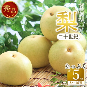 【南信州産】梨「二十世紀」秀品約5kg（8玉～16玉）＜2026年9月上旬より発送＞