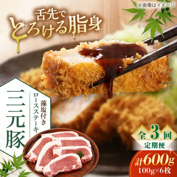 【全3回定期便】平田牧場 ロース ステーキ 600g  (100g×6枚) ※藻塩付 豚肉 とんかつ 生姜焼き[AJAP023]