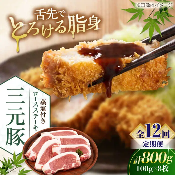 【全12回定期便】平田牧場 ロース ステーキ 800g  (100g×8枚) ※藻塩付 豚肉 とんかつ 生姜焼き[AJAP029]