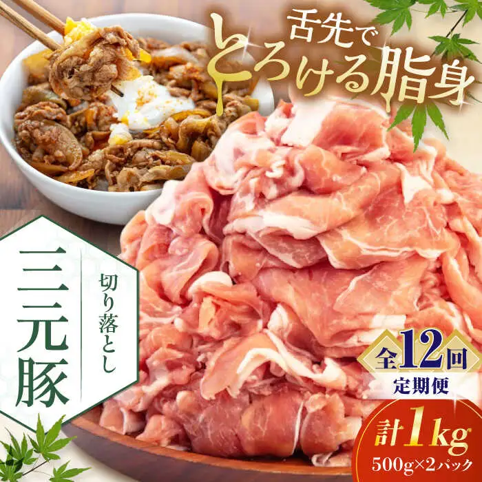 【全12回定期便】平田牧場 切り落とし 1kg (500g×2P)  豚肉 切り落とし 小分け [AJAP033]