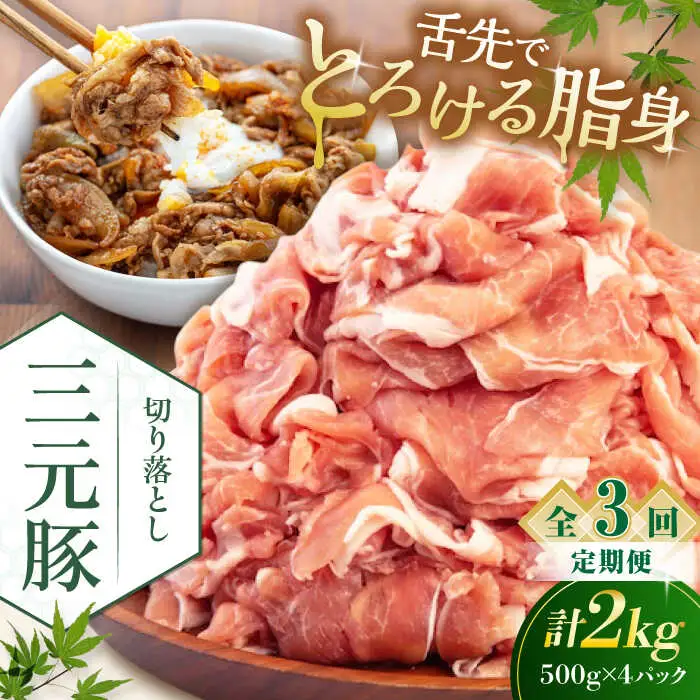 【全3回定期便】平田牧場 切り落とし 2kg (500g×4P)  豚肉 切り落とし 小分け [AJAP035]