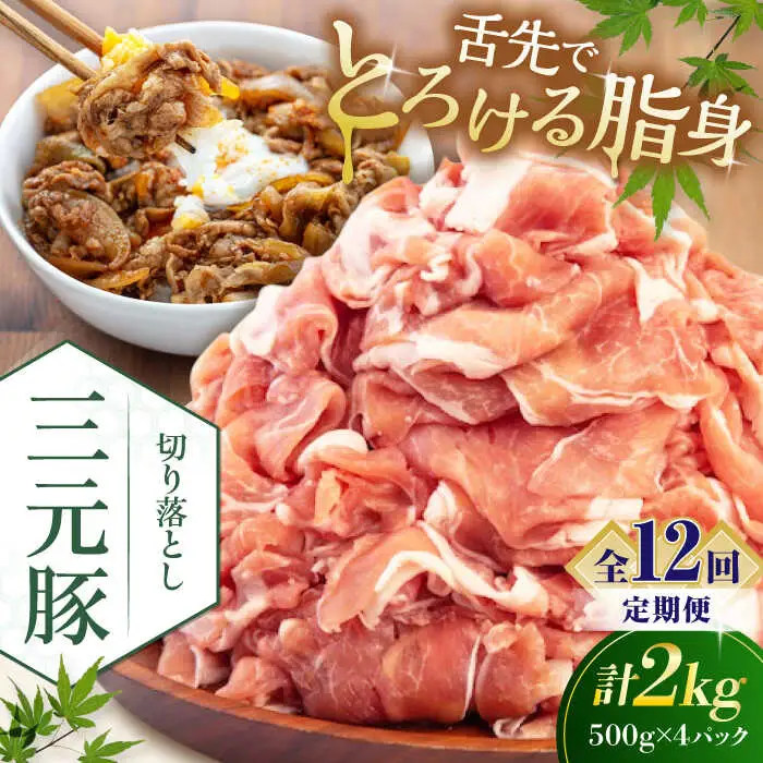 【全12回定期便】平田牧場 切り落とし 2kg (500g×4P)  豚肉 切り落とし 小分け [AJAP037]