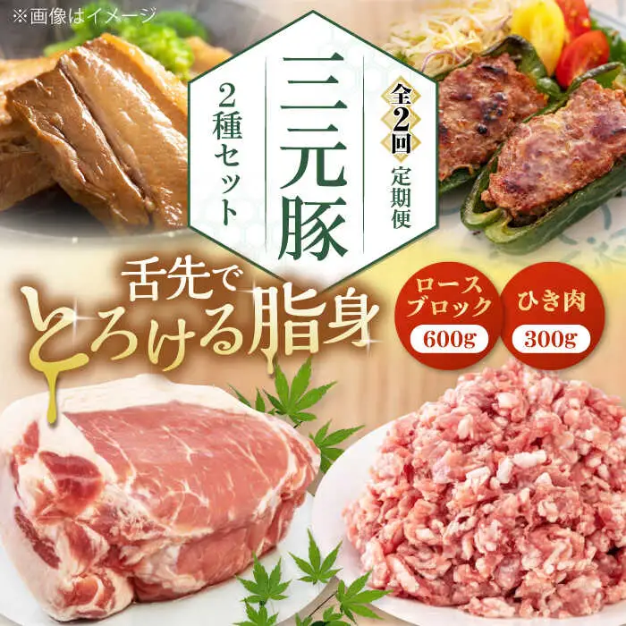 【全2回定期便】平田牧場 2種 セット 豚肉 詰め合わせ セット [AJAP042]