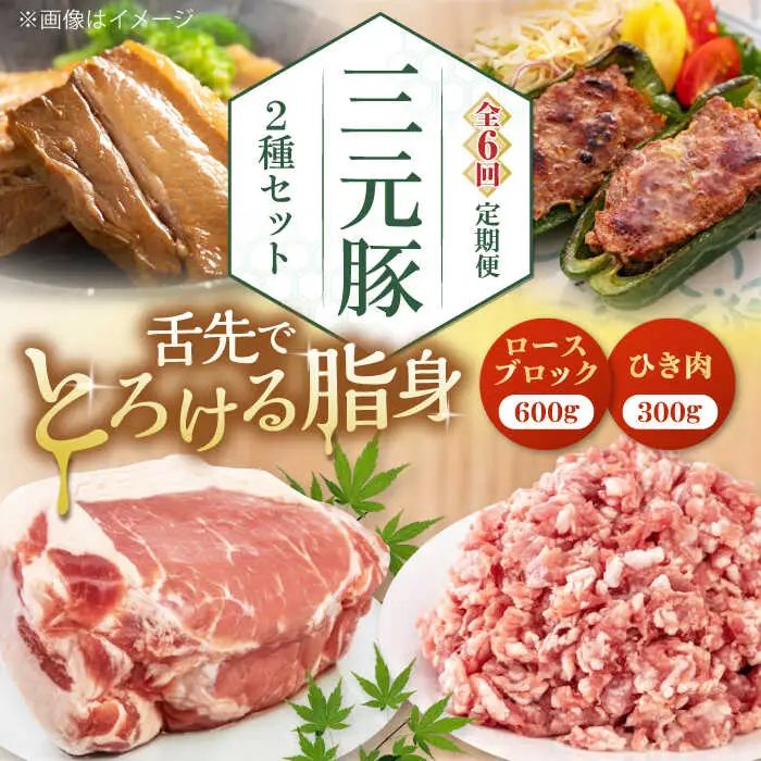 【全6回定期便】平田牧場 2種 セット 豚肉 詰め合わせ セット [AJAP044]