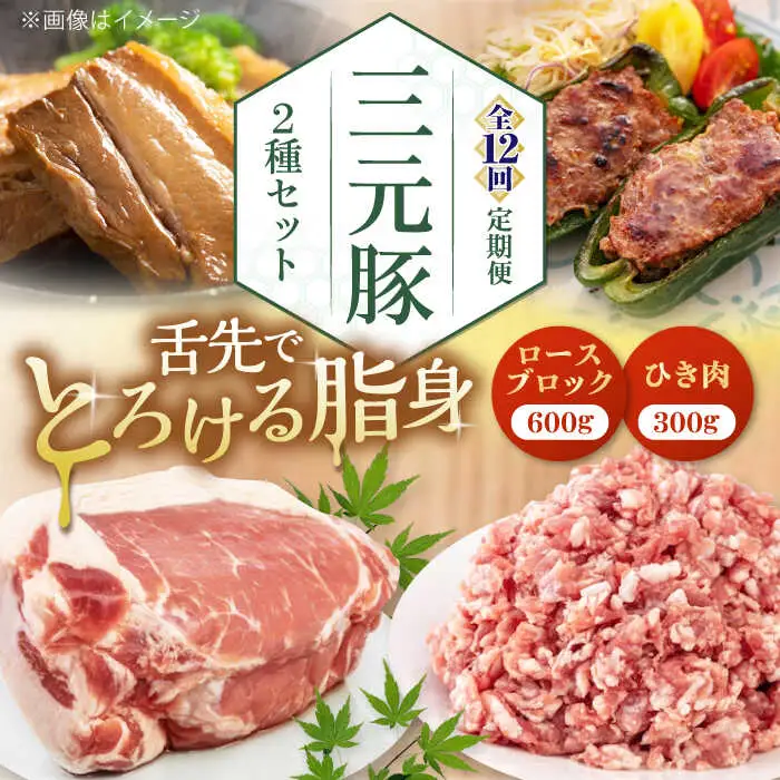 【全12回定期便】平田牧場 2種 セット 豚肉 詰め合わせ セット [AJAP045]