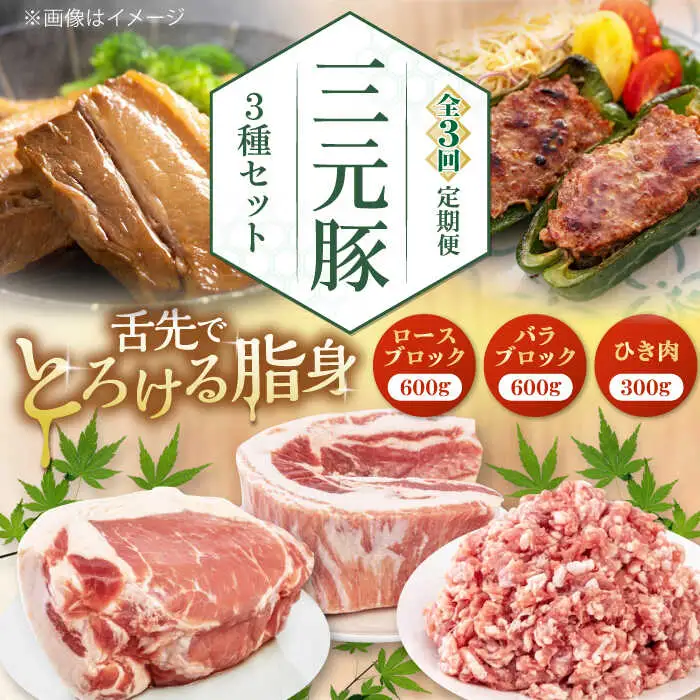 【全3回定期便】平田牧場 3種 セット 豚肉 詰め合わせ セット [AJAP047]
