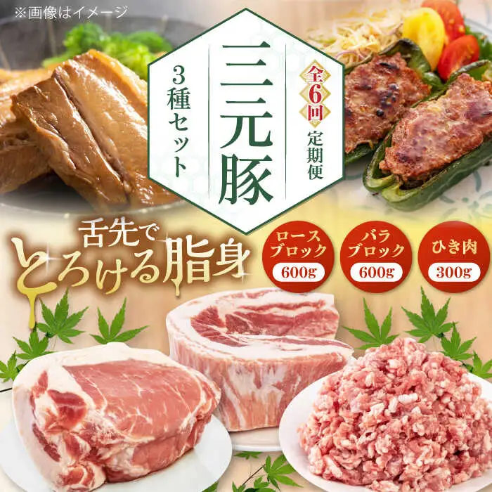 【全6回定期便】平田牧場 3種 セット 豚肉 詰め合わせ セット [AJAP048]