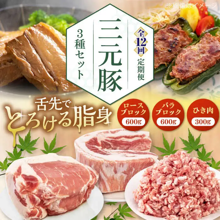 【全12回定期便】平田牧場 3種 セット 豚肉 詰め合わせ セット [AJAP049]