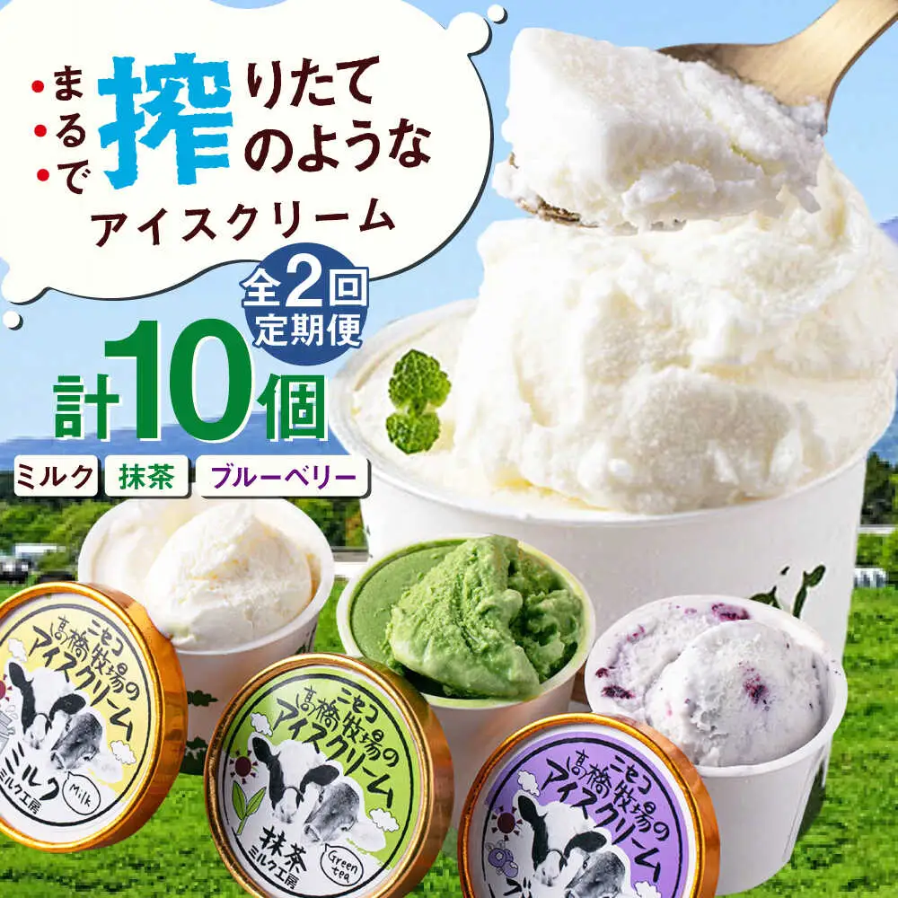 【全2回定期便】ミルク工房 カップ アイス セット 10個  ジェラート 抹茶 ブルーベリー 詰め合わせ 冷凍配送 北海道 [AJAI055]
