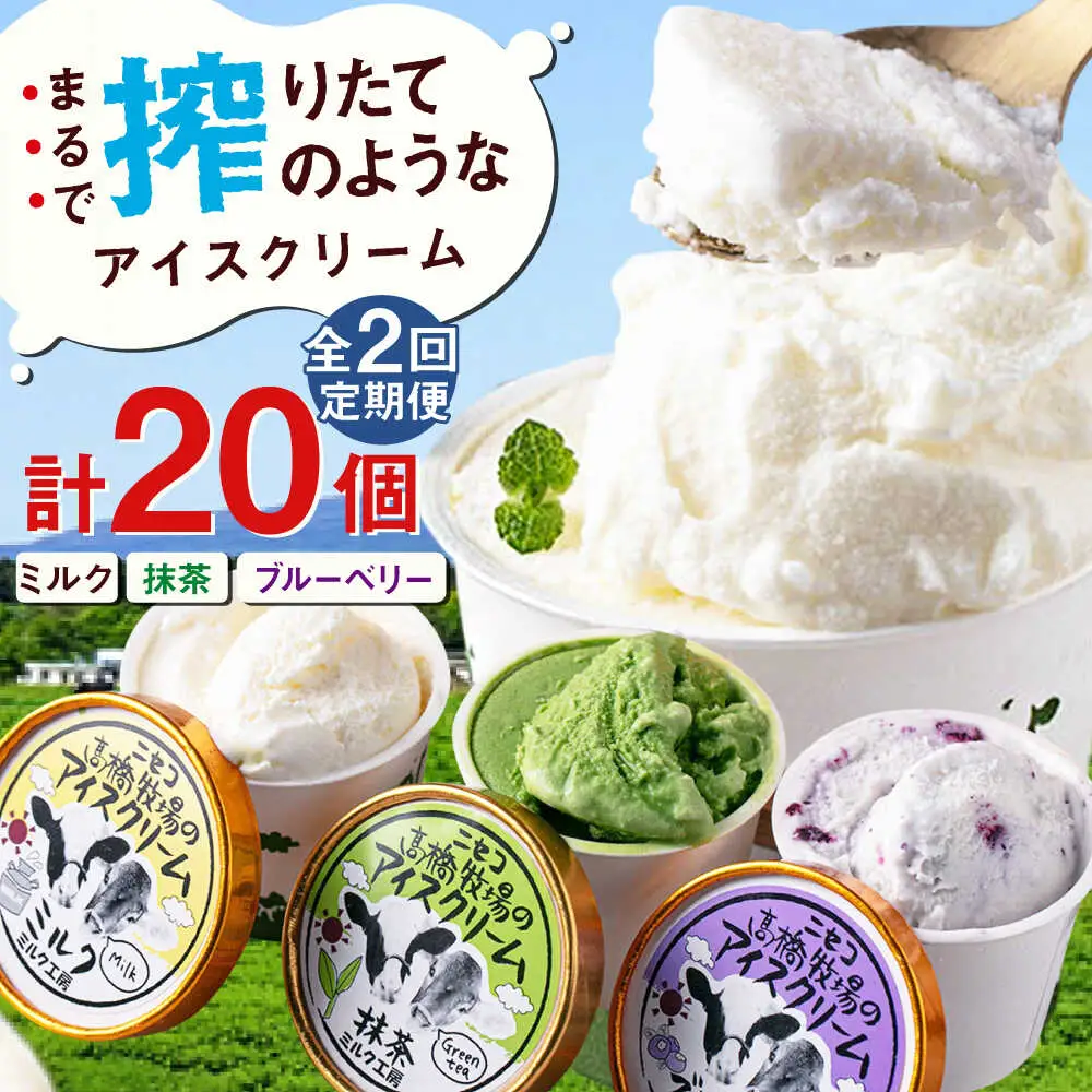 【全2回定期便】ミルク工房 カップ アイス セット 20個  ジェラート 抹茶 ブルーベリー 詰め合わせ 冷凍配送 北海道 [AJAI059]