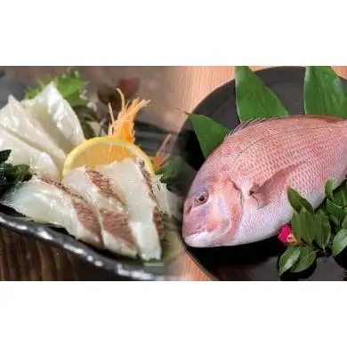 鯛  刺身 まるごと 1匹分 刺身