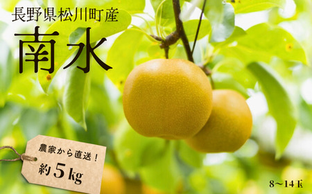 KW06 梨 南水 贈答 約5kg（8～14玉） 長野県松川町産／9月下旬頃～順次発送予定//南信州産 長野県 和梨 なし ナシ 約5㎏ 南水 農家直送 農家支援