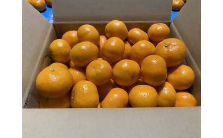 SN-02　三重県多気町産 みかん S～2Lサイズ 5kg