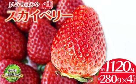 ［2月発送予定］栃木県共通返礼品　JAうつのみや直送  スカイベリー |  いちご 果物 甘い フルーツ 産地直送  味覚 デザート お菓子 下野市 栃木県 送料無料
