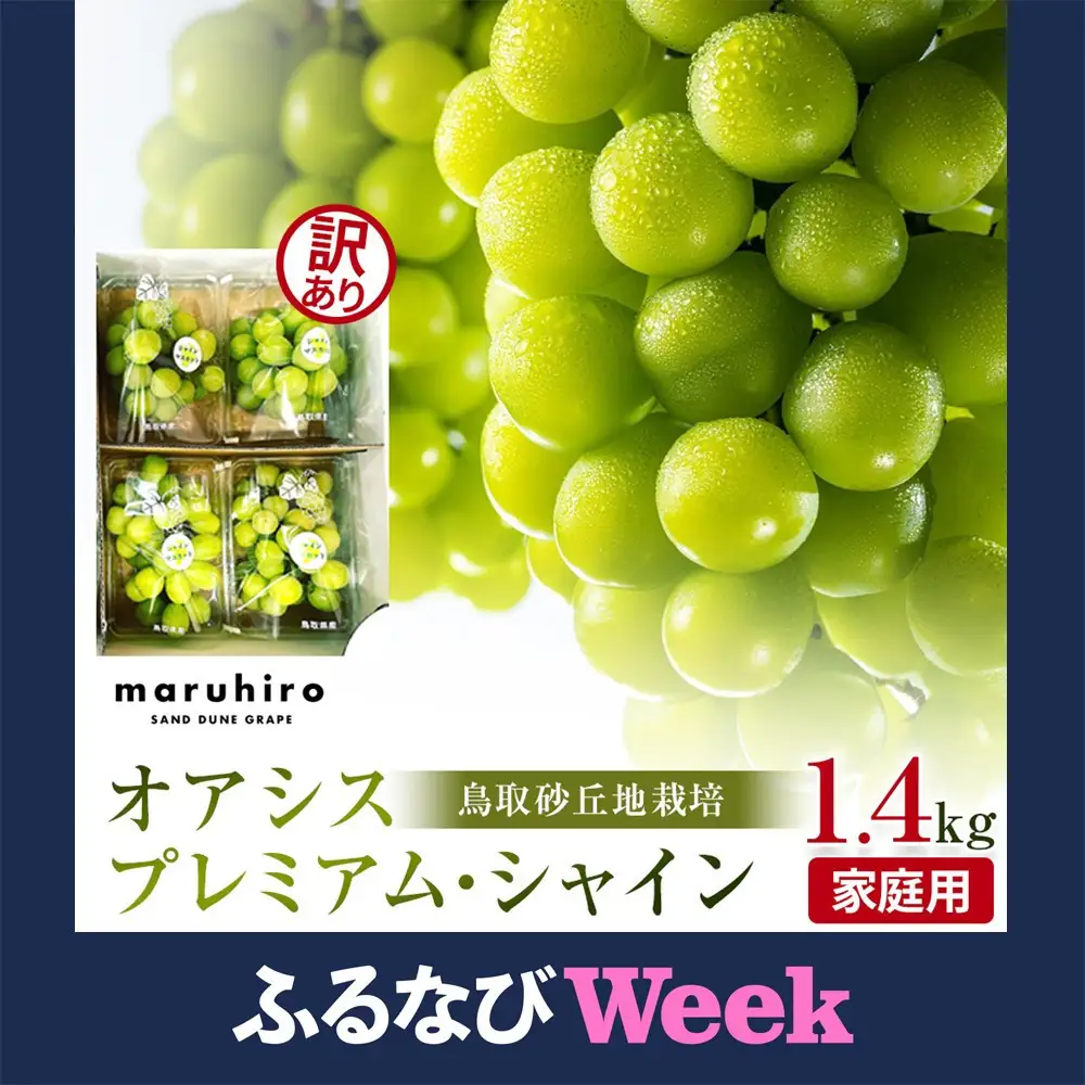 【ふるなびWEEK対象】シャインマスカット 訳あり 先行予約 家庭用 鳥取砂丘地産 1.4kg（350g×4パック）｜シャインマスカット