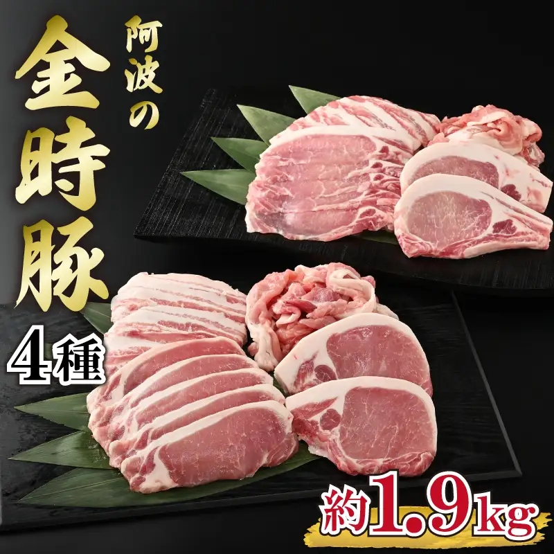 金時豚 豚肉 4種 豚肉 