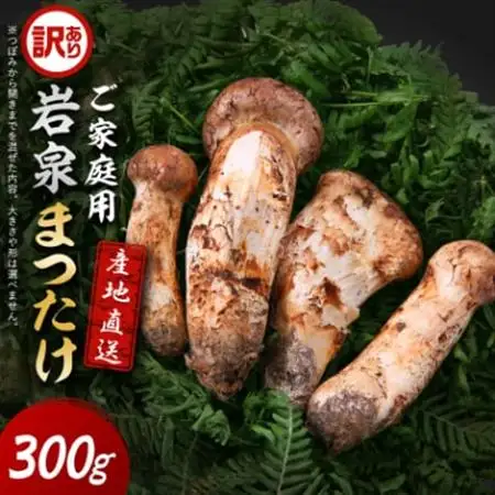 【2026秋発送】【訳あり】ご家庭用 岩泉まつたけ 直送 300g_野菜 松茸 きのこ まつたけ マツタケ_【配送不可地域：離島】【1423400】