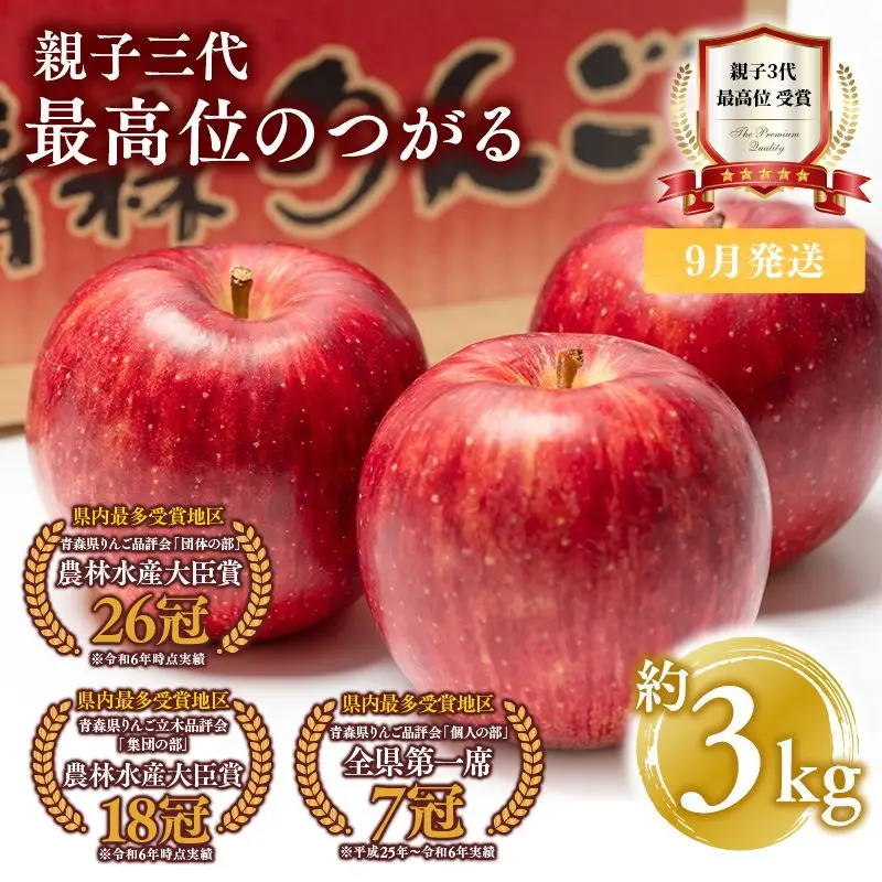 りんご つがる 約3kg 青森県平川市産[hi-0003-030]