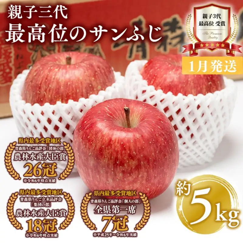  りんご サンふじ 約5kg 青森県平川市産[hi-0003-016]