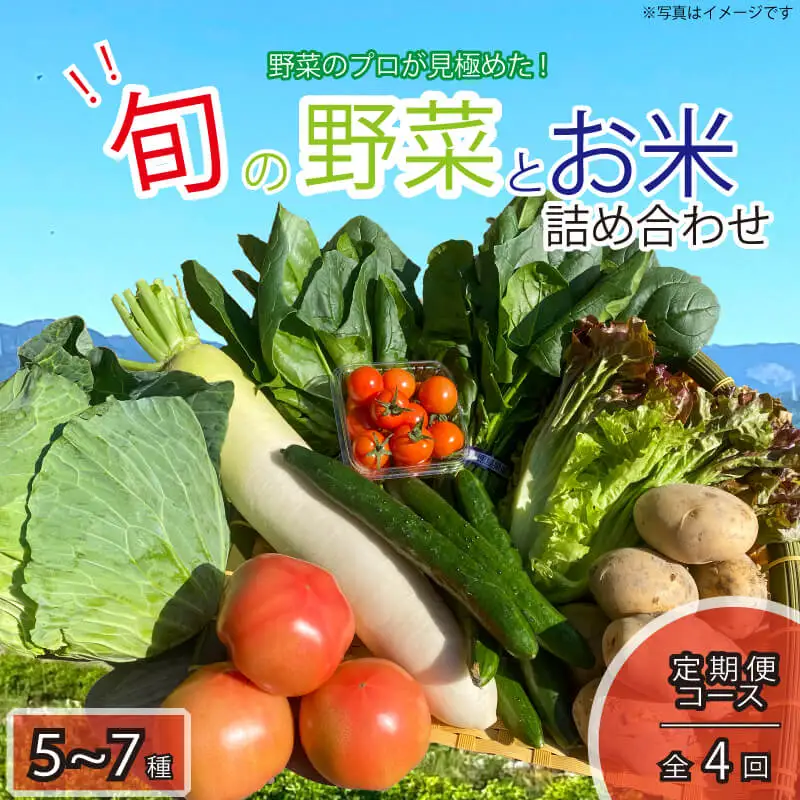 定期便 年4回 野菜 5～7品目 米 5kg 詰め合わせ セット 旬 新鮮 季節の野菜 なすび ブロッコリー キャベツ 白菜 レタス サニーレタス ほうれん草 きゅうり ピーマン とうもろこし トマト ミニトマト 大根 絹さやえんどう インゲン豆 玉ねぎ じゃがいも すだち 阿波市 徳島県